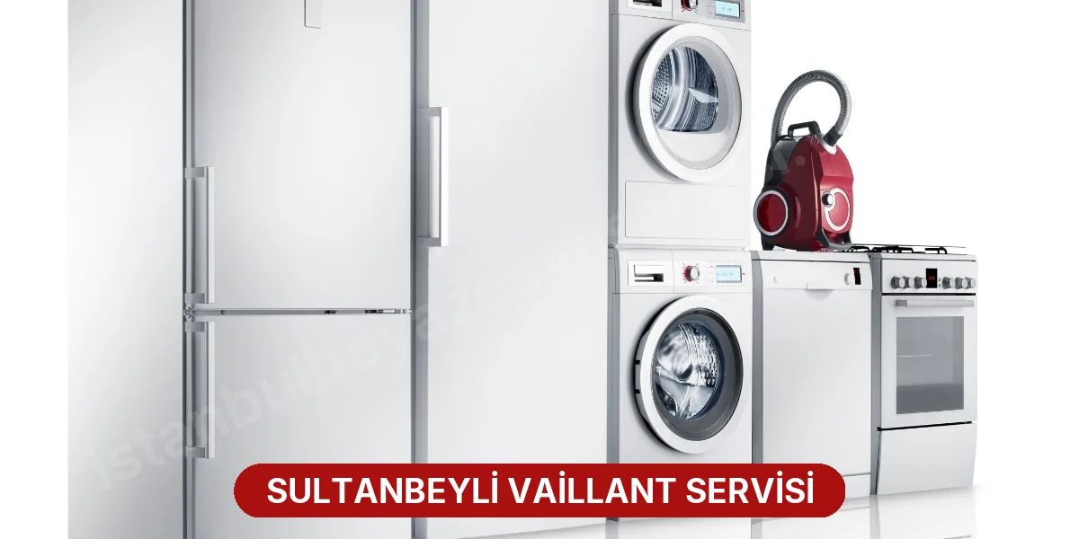 Sultanbeyli Vaillant Servisi