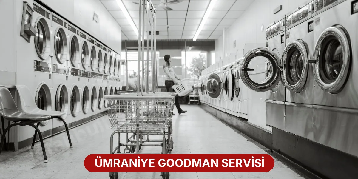 Ümraniye Goodman Servisi
