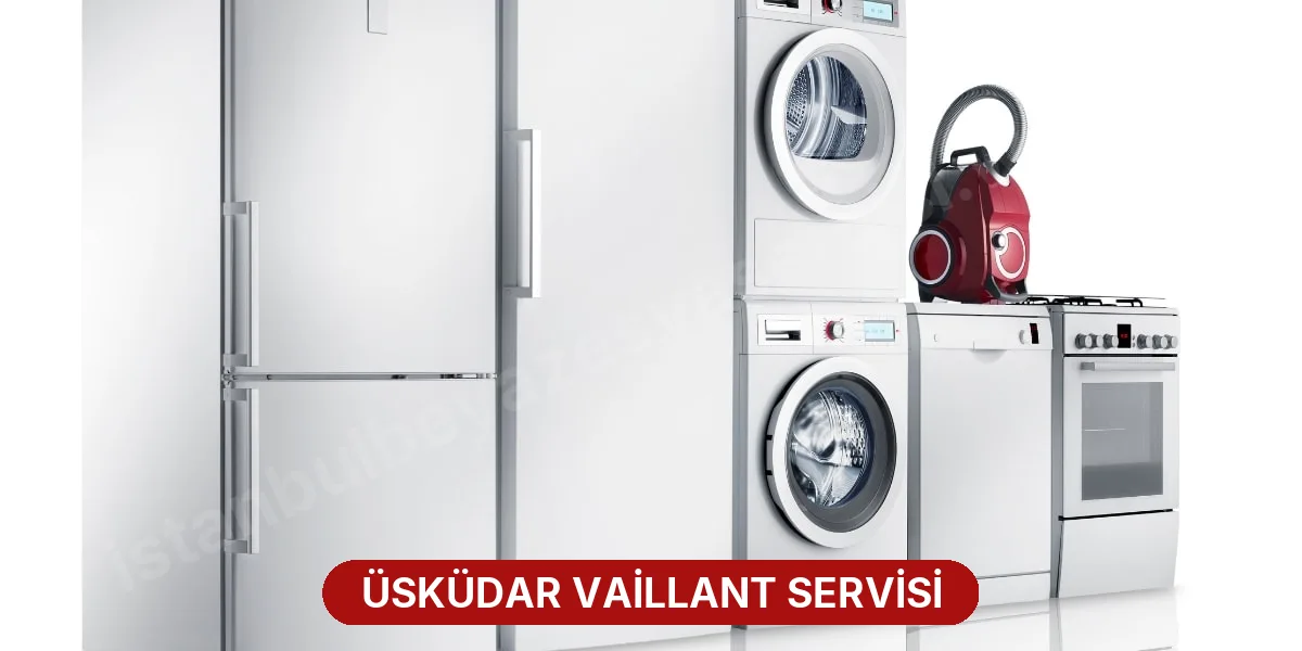 Üsküdar Vaillant Servisi