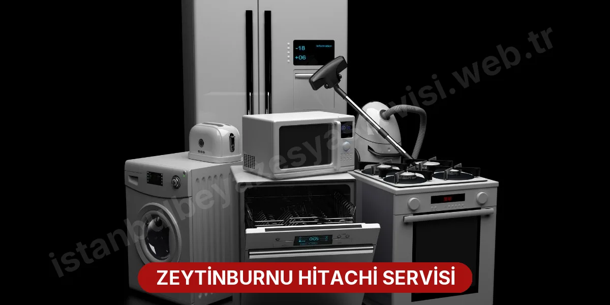 Zeytinburnu Hitachi Servisi
